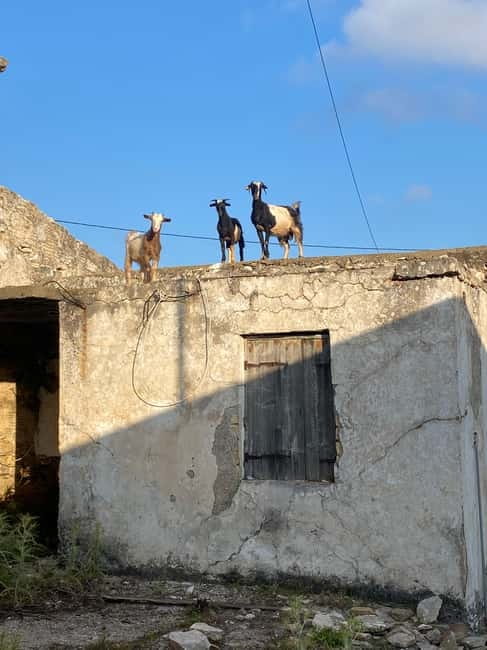 Agia Pelagia: Sunset or Morning Quad Tour & Ghost Town Visit - The Raki and Sweet Finish: Small Touch, Big Mood Change