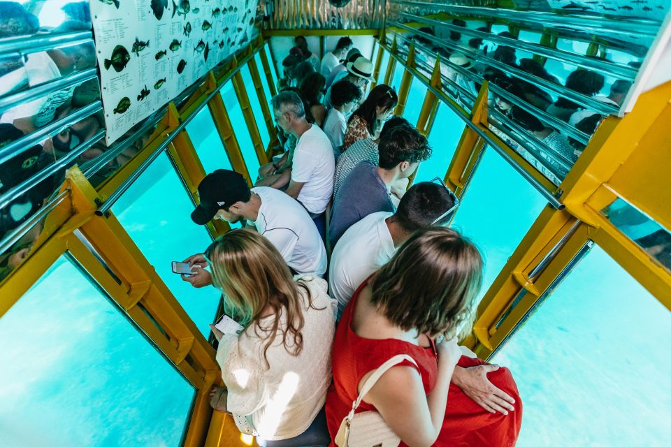 Agios Nikolaos: Semi-Submarine Cruise - What You’re Really Buying With a Semi-Submarine in Agios Nikolaos