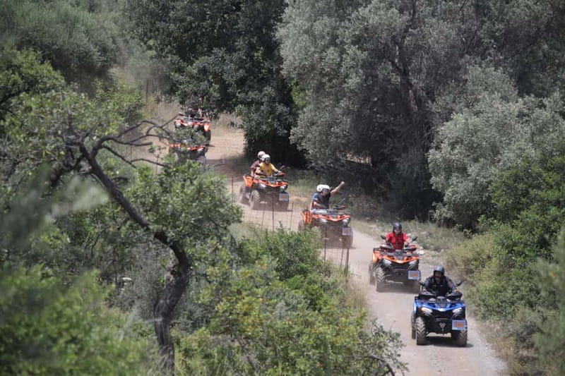 Bali & Panormo Rethymno:Quad Safari & visit Cave 57km 4hours - Quad Bikes, Olive Groves, and Why This Route Feels Different