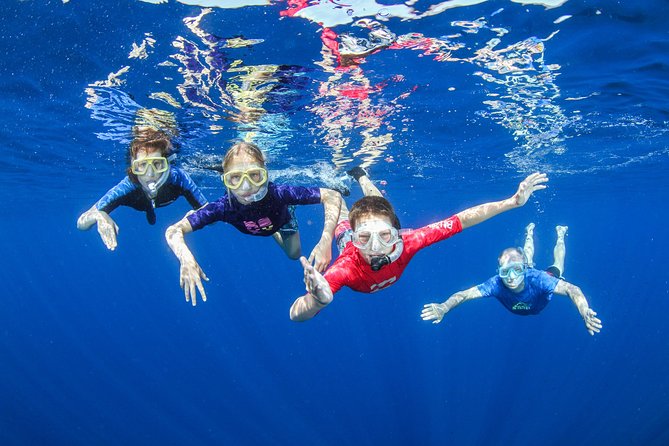 Boat Trip in Crete with Guided Snorkeling and Free Pick up! - Key things you’ll love on this Crete snorkeling boat trip