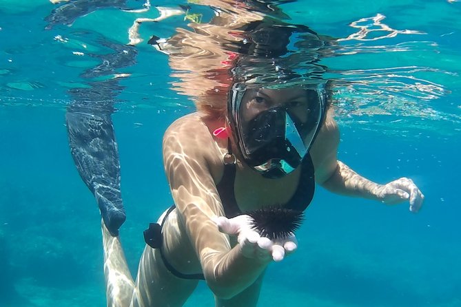 Chania: Boat Trip with Guided Snorkeling Tour & SUP - Photos and Videos: Proof You Actually Were There