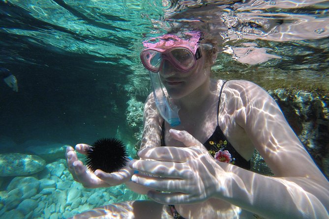 Chania: Boat Trip with Guided Snorkeling Tour & SUP - Comfort Extras: Fruit, Water, and the Little Things