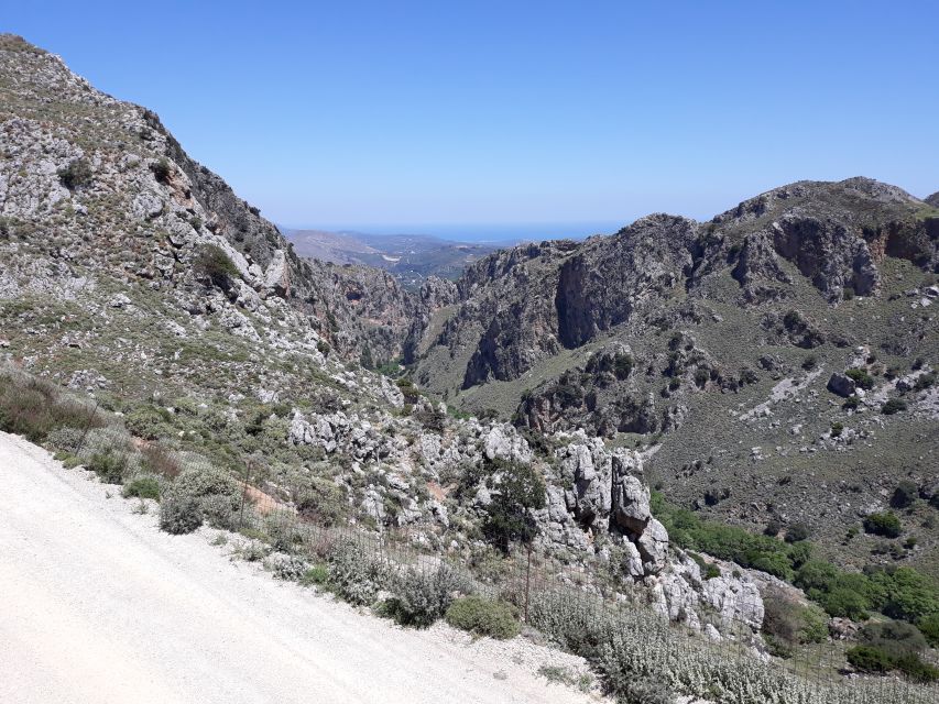Chania: Milia Mountain Tour w/Lunch Olive Oil/Wine Tastings - Who should book this (and who should skip it)