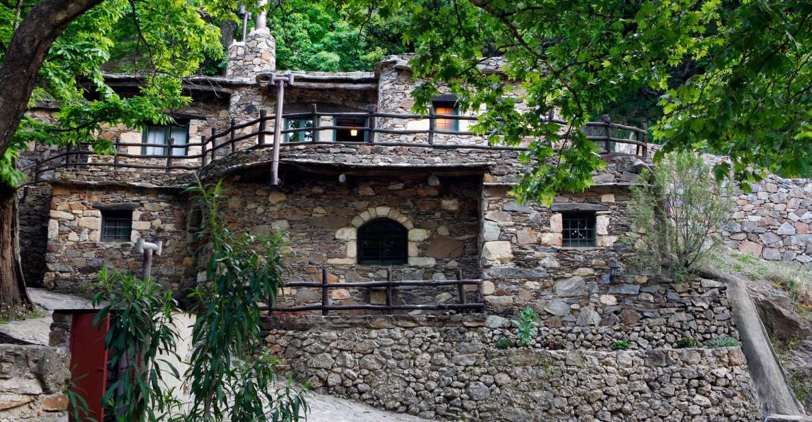 Chania: Milia Mountain Tour w/Lunch Olive Oil/Wine Tastings - Ano Vouves: coffee, and a truly old olive tree you can touch