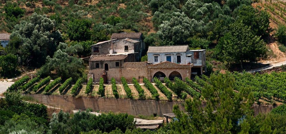 Chania: Milia Mountain Tour w/Lunch Olive Oil/Wine Tastings - The off-road segments: why dirt roads are part of the point