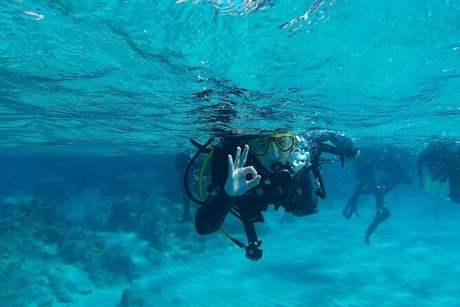 Chania: Scuba Diving for Beginners - Why Chania works so well for a beginner water session