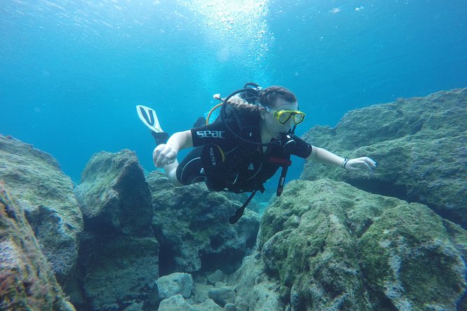 Chania: Scuba Diving for Beginners - Marine life you’ll likely see at beginner depth