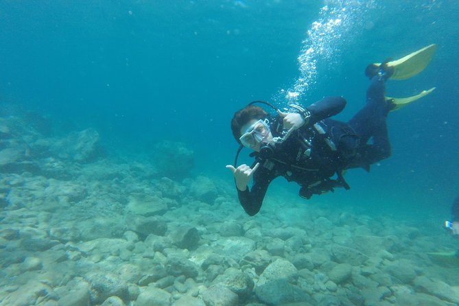 Chania: Scuba Diving for Beginners - Who this experience suits best (and who should pause first)
