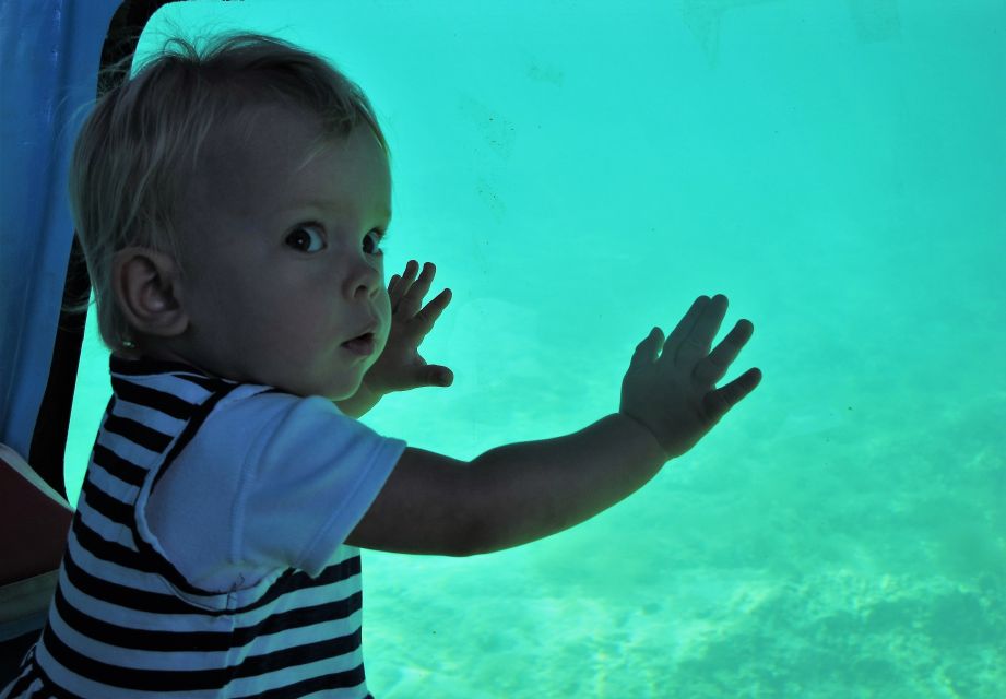 Chania: Semi-Submarine Boat Underwater Experience - Key things to know before you go