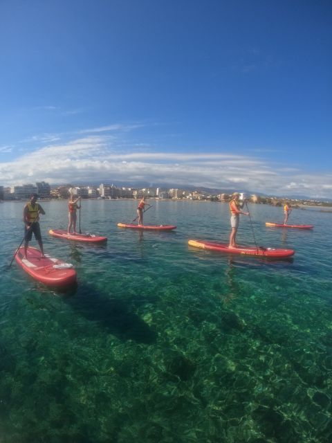 Chania: Stand-up Paddleboard Tour to Lazareta Island - Swimming and Sea Life: Fish, Sea Turtles, and Snorkel-Style Fun
