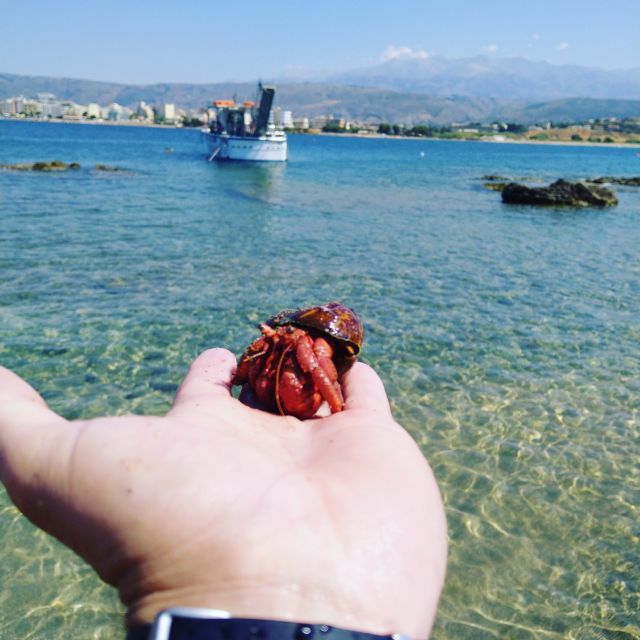 Chania Town: Glass-Bottom Boat Cruise to Thodorou & Lazareta - Price and What Makes This Feel Like Good Value