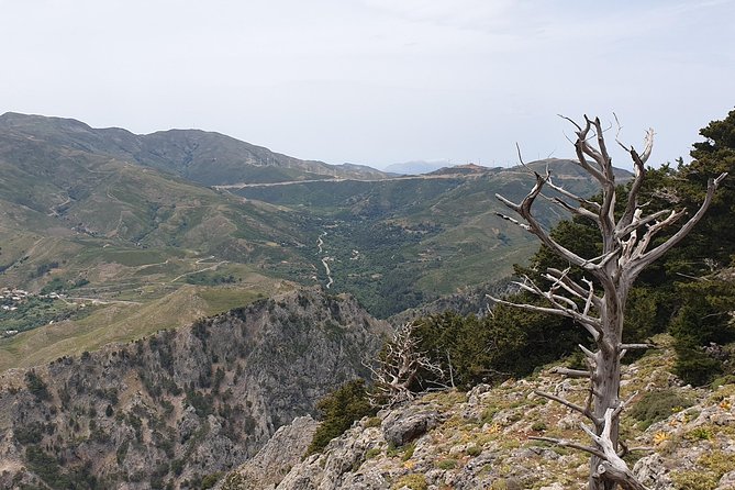 Cretan Safari – 4x4 Adventure to Preveli Beach with Lunch - Stop by Stop: what to expect (and what to watch for)