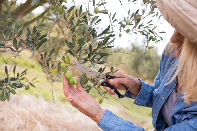Cretan Wines & Olive oil tour - The treasures of Crete - Stironas raki distillery: distilling methods, cellar visit, and lunch