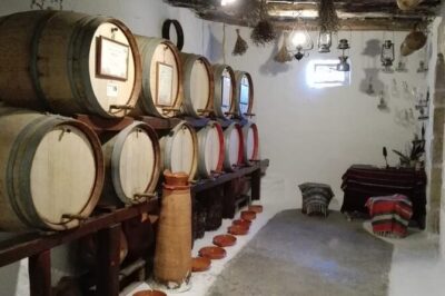 Cretan Wines & Olive oil tour - The treasures of Crete - Meleses winery: vineyard + cellar tour, then five wines under shade