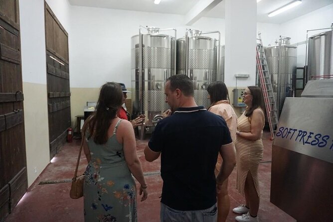 Cretan Wines & Olive oil tour - The treasures of Crete - Price and time: what $145.18 buys you in real terms