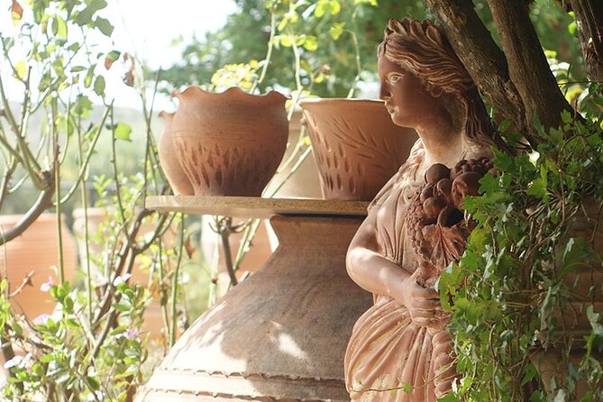 Cretan Wines & Olive oil tour - The treasures of Crete - Who should book this tour