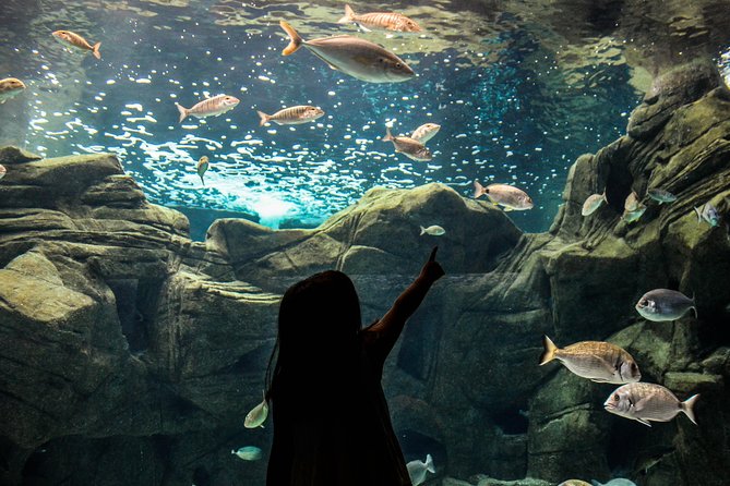 CRETAquarium Entrance Ticket in Crete - What you’ll see: 60 tanks and 200 Mediterranean species