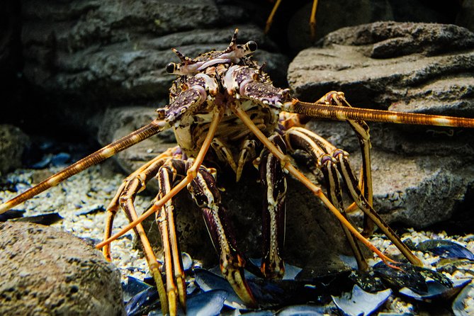 CRETAquarium Entrance Ticket in Crete - Finding the entrance at Thalassokosmos Heraklion