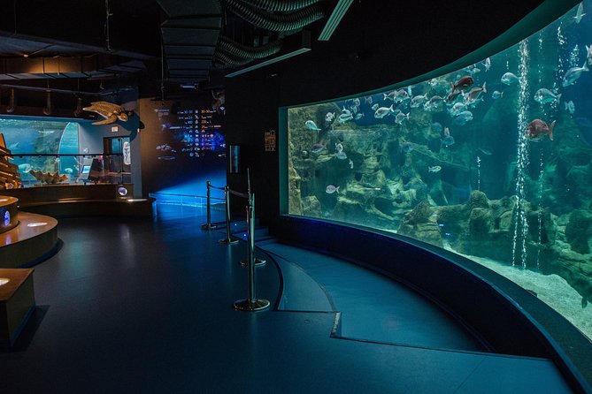 CRETAquarium Entrance Ticket in Crete - Ticket value: why $9.61 can make sense in Crete