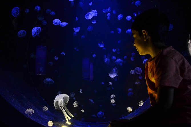 CRETAquarium Entrance Ticket in Crete - Opening hours you can plan around