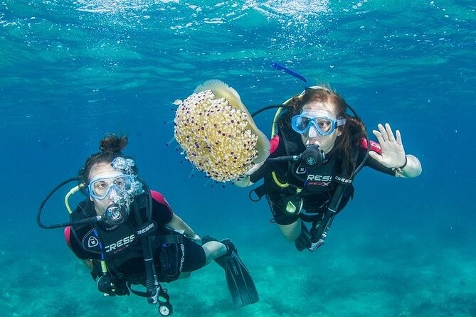 Crete-Chania: Snorkeling & Scuba Dive for Beginners by Boat - Key Things To Know Before You Go