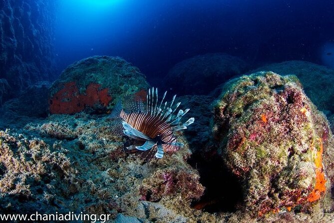 Crete-Chania: Snorkeling & Scuba Dive for Beginners by Boat - What to Bring: Simple Stuff That Prevents a Bad Day