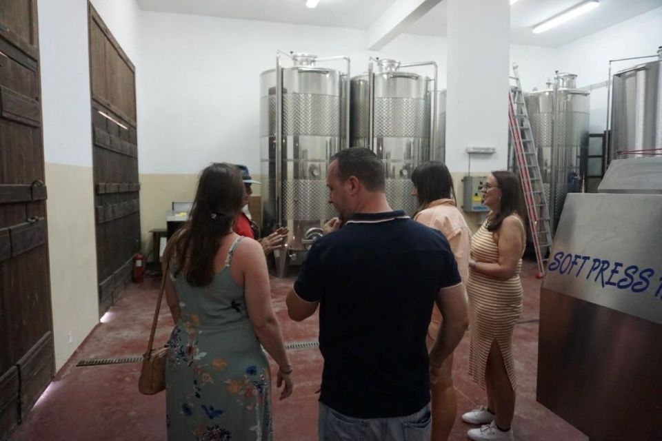 Crete: Full-Day Cretan Wines, Olive Oil, Raki and Food Tour - A Winery Tour With Organic Practices and 5 Wines