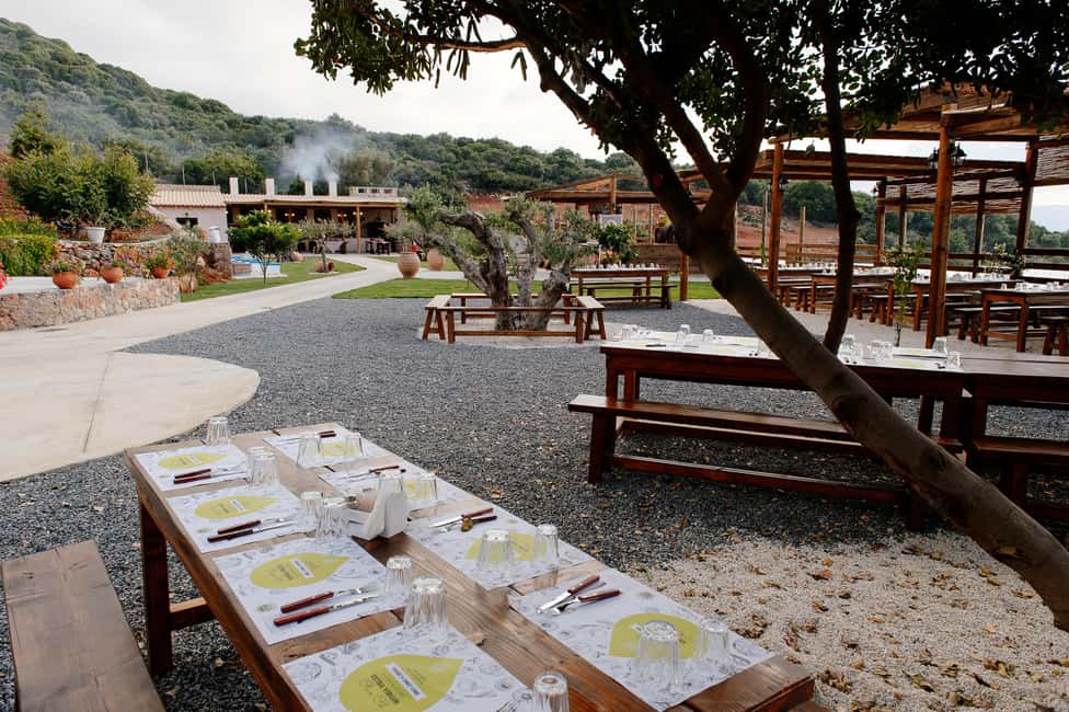 Crete: Knossos, Lasithi, Lasinthos and Olive Farm Combo Tour - Best Fit: Who This Tour Suits (and Who Might Want a Different Plan)