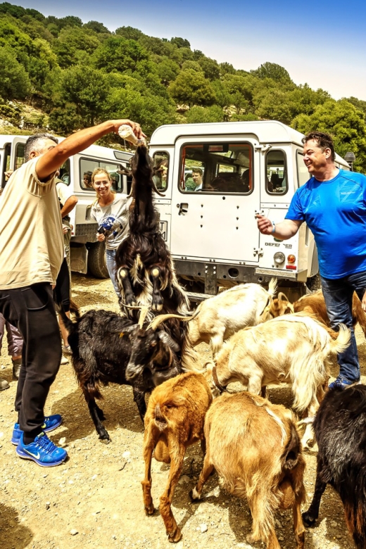 Crete: Land Rover Safari on Minoan Route - Crete’s Minoan Path, in a Land Rover