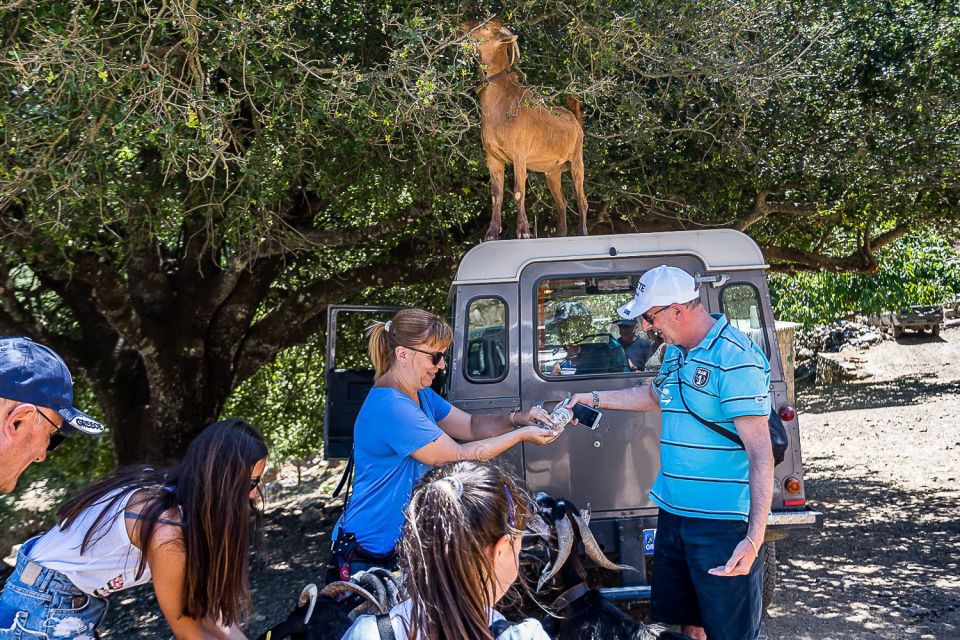 Crete: Land Rover Safari on Minoan Route - The Shepherd Mitato, Cheese, and Animal-Friendly Moments