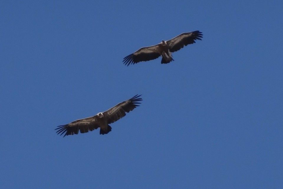Crete: Land Rover Safari on Minoan Route - Viewpoints Over Lassithi, Donkeys at Work, and Seli Photo Stops