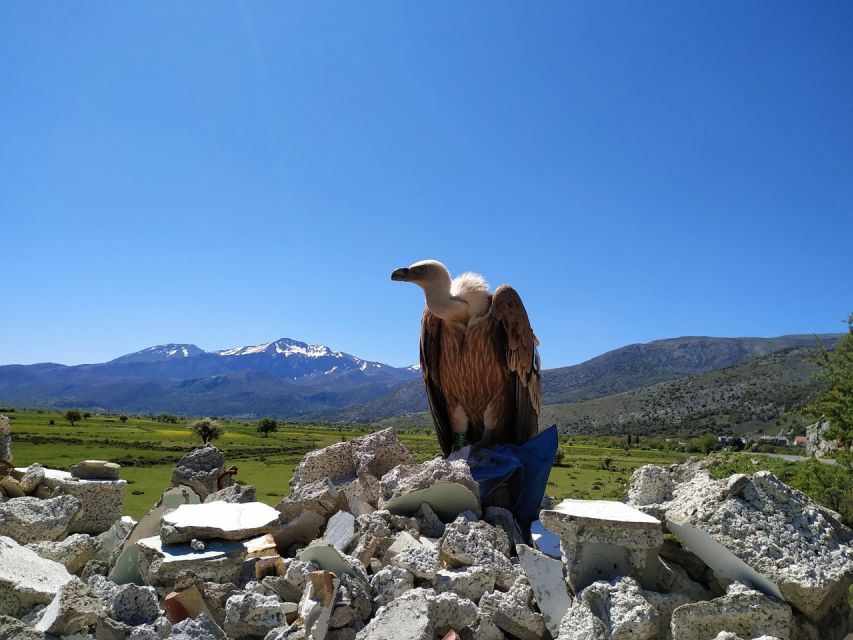 Crete: Lasithi Plateau and Cave of Zeus Off-Road Safari Tour - Lasithi Plateau and Psychro Cave: Zeus on the Map