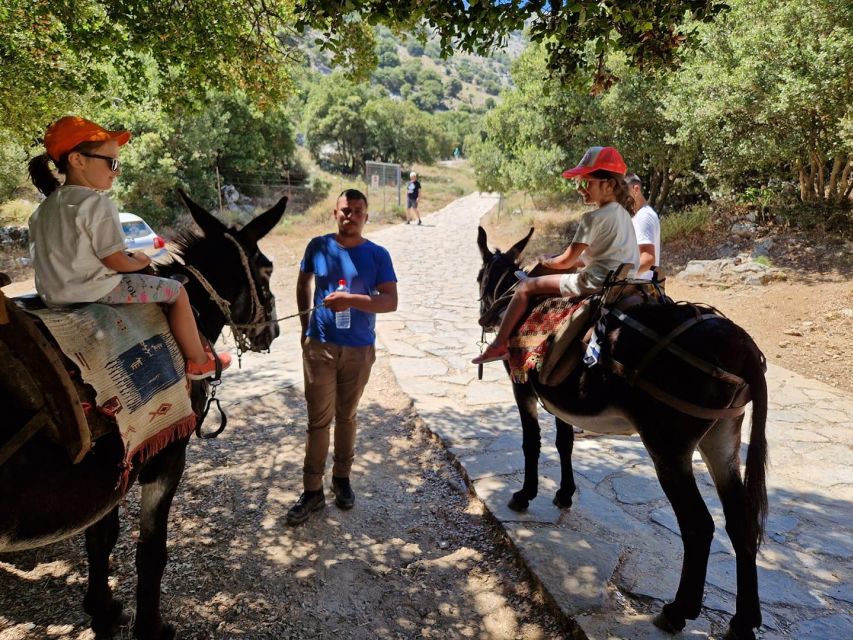 Crete: Lasithi Plateau Zeus Cave Guided Jeep Safari Tour - Should you book? A practical decision guide
