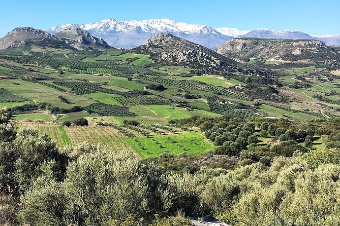 Crete: Olive Oil, Soap, Wine, Raki - Flavorful Culinary Journey - Key Highlights Worth Waking Up For