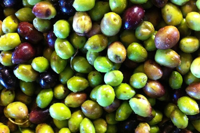 Crete: Olive Oil, Soap, Wine, Raki - Flavorful Culinary Journey - Who Should Book This Tour (And Who Might Skip It)