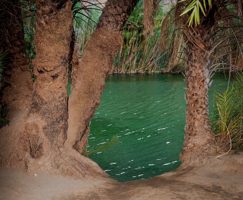 Crete: Preveli Tropical Beach and Palm Forest - Preveli Beach feels like two worlds in one day