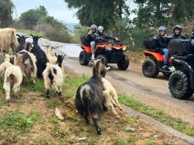 Crete: Quad Safari with Ghost Town Exploration - Agia Pelagia from above: the best views happen on the way