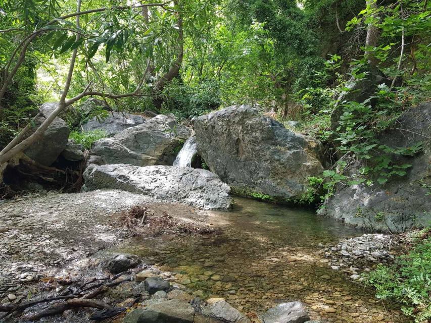 Crete: Richtis Waterfall Full-Day Tour with Olive Tasting - Swimming at the falls and the stair climb for the best views
