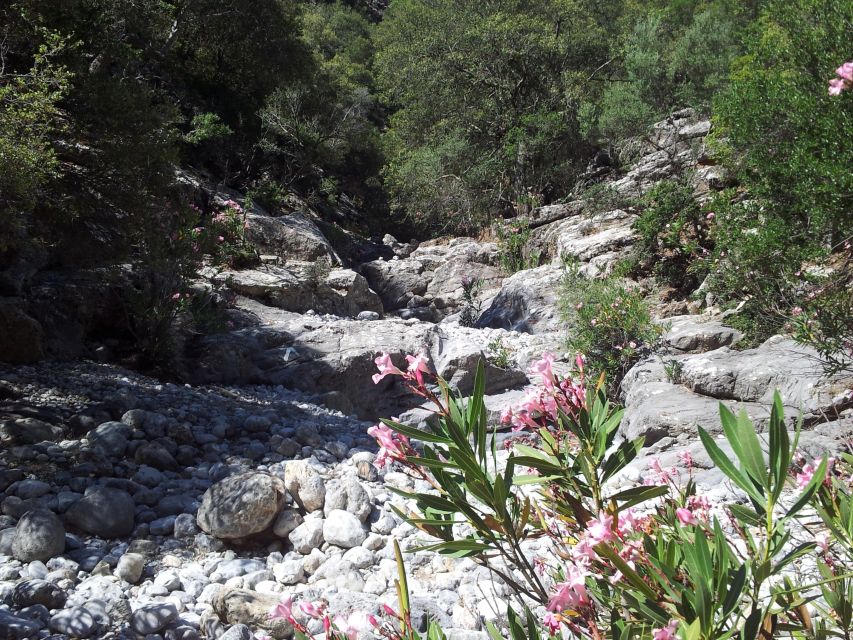 Crete: Richtis Waterfall Full-Day Tour with Olive Tasting - Lunch at a local taverna with wine and water included