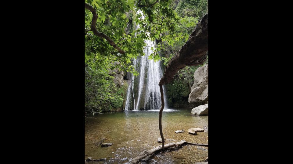 Crete: Richtis Waterfall Full-Day Tour with Olive Tasting - Price and group size: is $111 a good value?