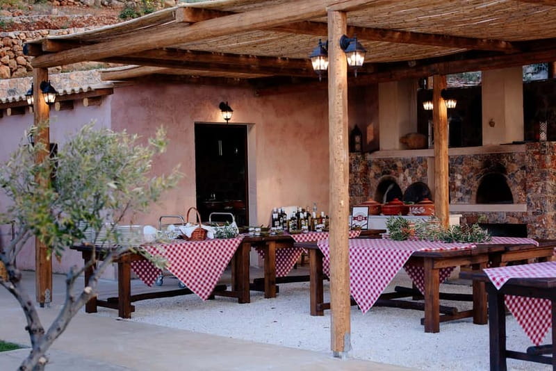Crete: Road-trip to Lasithi Plateau & Olive Mill Farm - What this Crete road trip feels like in real time
