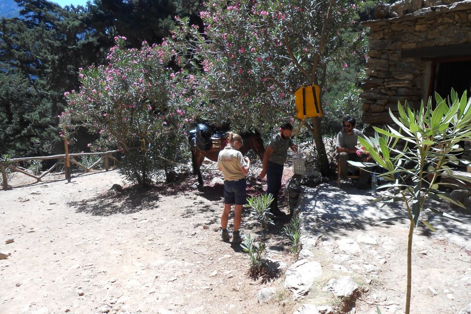Crete: Samaria Gorge Hiking with transfer and expert Escort - The Samaria Gorge hike: 18 km, lots of downhill, real footing