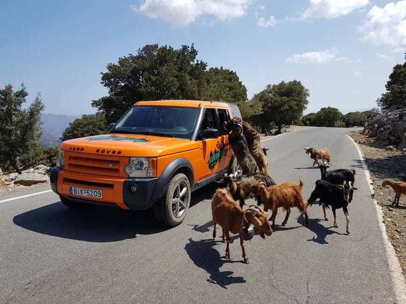 Crete: Sarakina Gorge, Forests, and South Coast Safari - Key Things That Make This Crete Safari Worth Your Time