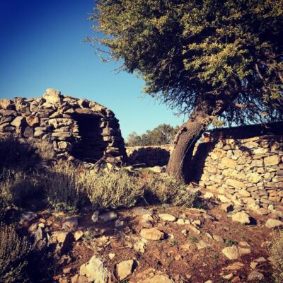 Crete: White Mountains Preserve Day Tour - Morning drive: farmland, village stops, and a coffee break that actually refreshes