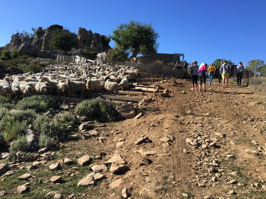 Crete: White Mountains Preserve Day Tour - At 1,350m: the Mitato shepherd hut and why it’s more than a photo stop