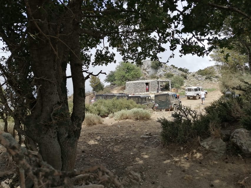 Crete: White Mountains Preserve Day Tour - Lunch at a family tavern: what makes it better than most tours