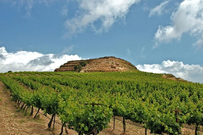 Crete Wine and Olive Oil Tour - Quick hits before you go