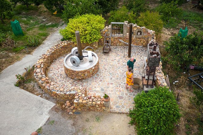 Crete Wine and Olive Oil Tour - Stop 1: Anoskeli Winery Olive Mill and its olive oil-first vibe
