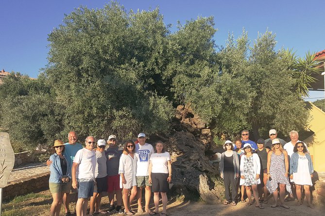 Crete Wine and Olive Oil Tour - Who should book this Crete wine and olive oil tour