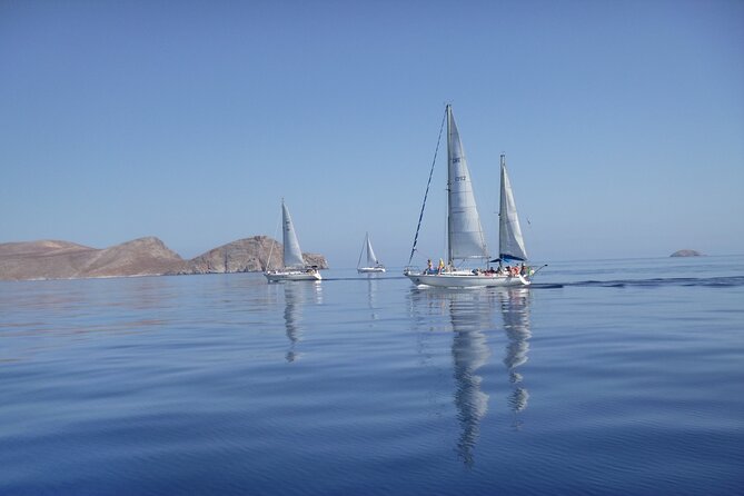 Dia island : Small Group Sailing Trip to Dia Island with Lunch - Your morning on the water starts at the Old Venetian port